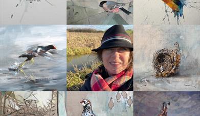 Art, studio open weekends , Lincoln