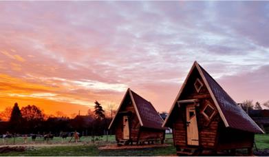 Ashleigh Farm - Caravan and Glamping