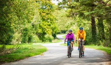 Focus Rides - Mountain Bike School