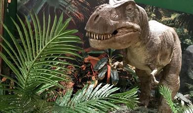 Model of a T-Rex dinosaur with jungle plants