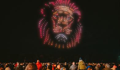 Space Safari drone light show in Lincoln, featuring 600 synchronised drones creating mesmerising cinematic animations in the night sky.