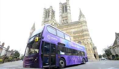 Open-Top Sightseeing Bus Tour