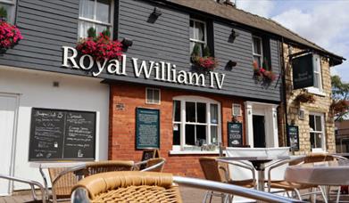 Royal William IV