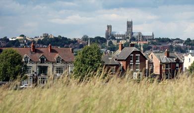 Lincoln South Common