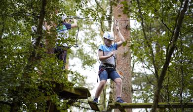 Experience treetop and zipline adventures at Wild Pines Park.